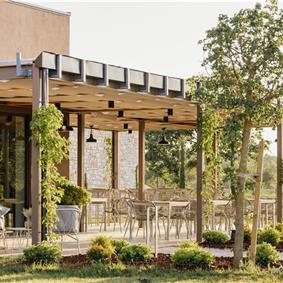 Luxury Villa Estate with 3 Pools on Istrian Vineyards near Bale, sleeps 56-60